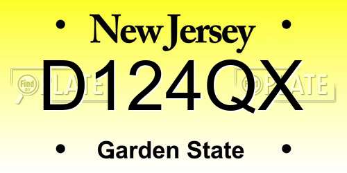 D124QX New Jersey License Plate