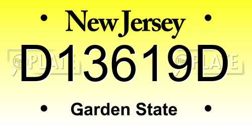 D13619D New Jersey License Plate