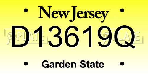 D13619Q New Jersey License Plate