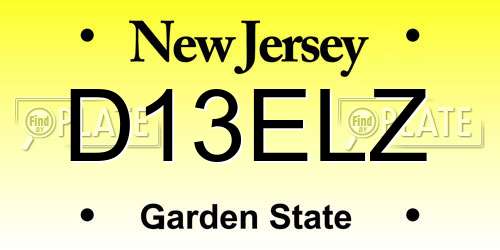 D13ELZ New Jersey License Plate