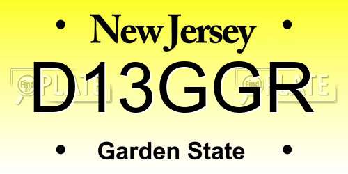 D13GGR New Jersey License Plate