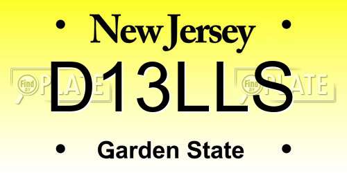 D13LLS New Jersey License Plate
