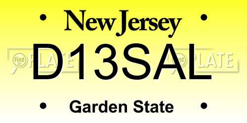 D13SAL New Jersey License Plate