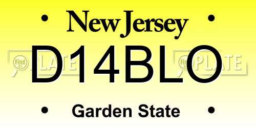 D14BLO New Jersey License Plate