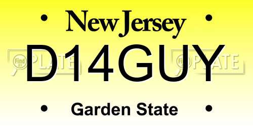D14GUY New Jersey License Plate