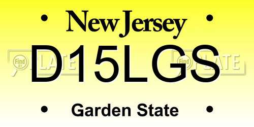 D15LGS New Jersey License Plate