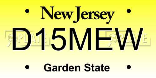 D15MEW New Jersey License Plate