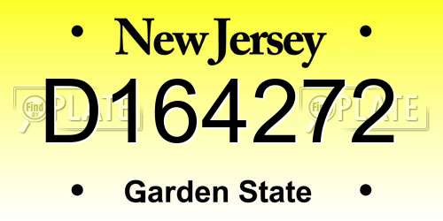 D164272 New Jersey License Plate