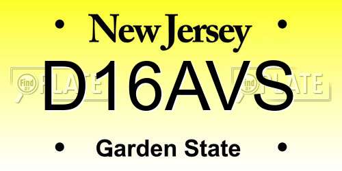D16AVS New Jersey License Plate