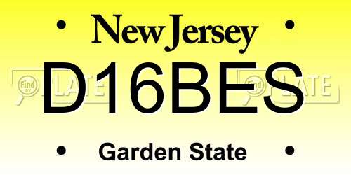 D16BES New Jersey License Plate