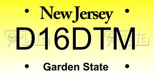 D16DTM New Jersey License Plate