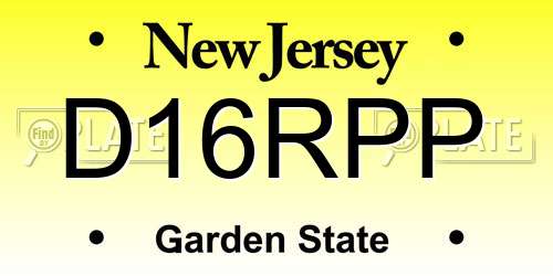 D16RPP New Jersey License Plate