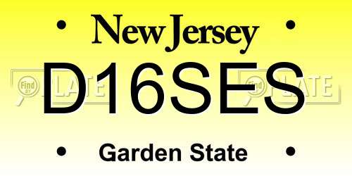 D16SES New Jersey License Plate