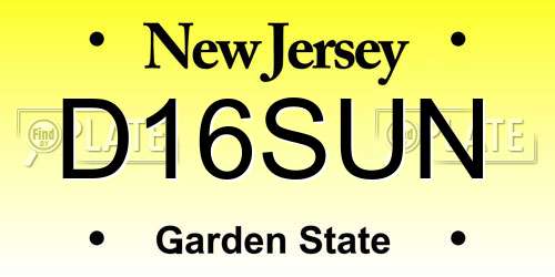 D16SUN New Jersey License Plate