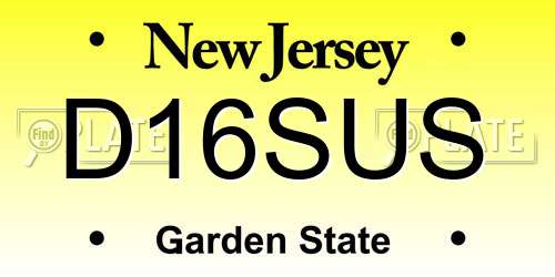 D16SUS New Jersey License Plate