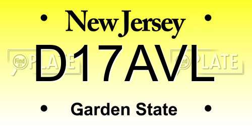 D17AVL New Jersey License Plate