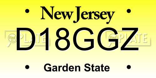 D18GGZ New Jersey License Plate