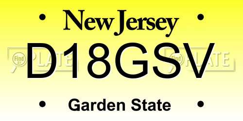 D18GSV New Jersey License Plate