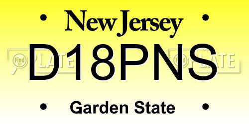 D18PNS New Jersey License Plate