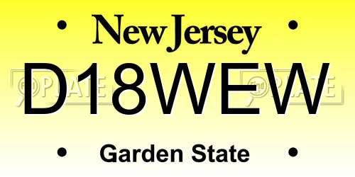D18WEW New Jersey License Plate