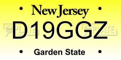 D19GGZ New Jersey License Plate