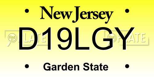 D19LGY New Jersey License Plate