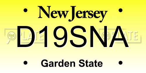 D19SNA New Jersey License Plate