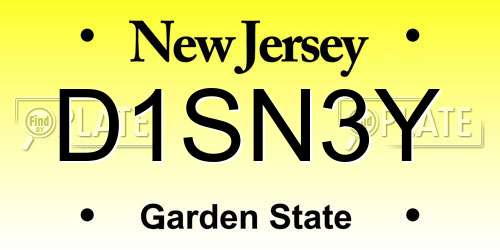D1SN3Y New Jersey License Plate