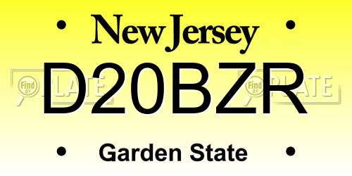 D20BZR New Jersey License Plate