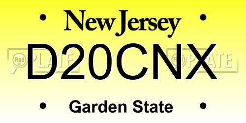 D20CNX New Jersey License Plate