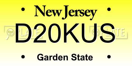 D20KUS New Jersey License Plate