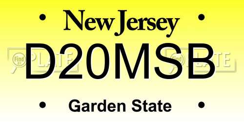 D20MSB New Jersey License Plate