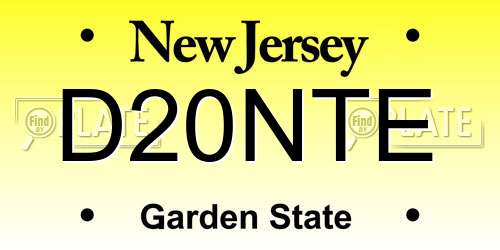 D20NTE New Jersey License Plate