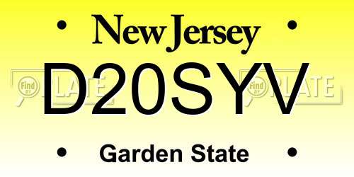 D20SYV New Jersey License Plate