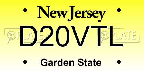D20VTL New Jersey License Plate