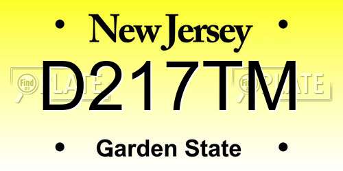 D217TM New Jersey License Plate