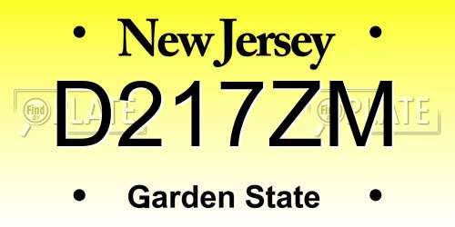 D217ZM New Jersey License Plate