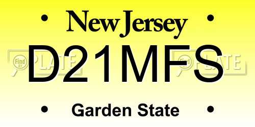 D21MFS New Jersey License Plate