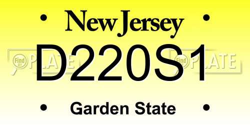 D220S1 New Jersey License Plate