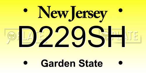 D229SH New Jersey License Plate