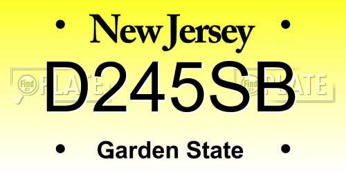 D245SB New Jersey License Plate