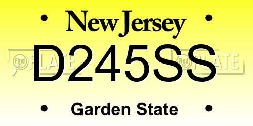 D245SS New Jersey License Plate