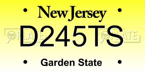 D245TS New Jersey License Plate