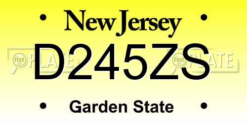 D245ZS New Jersey License Plate