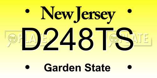 D248TS New Jersey License Plate