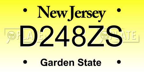 D248ZS New Jersey License Plate