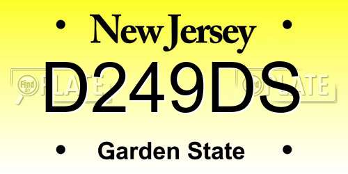 D249DS New Jersey License Plate