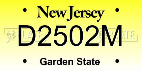 D2502M New Jersey License Plate