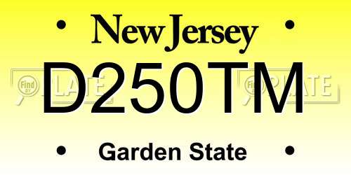 D250TM New Jersey License Plate