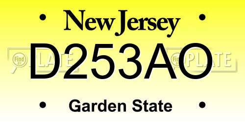 D253AO New Jersey License Plate